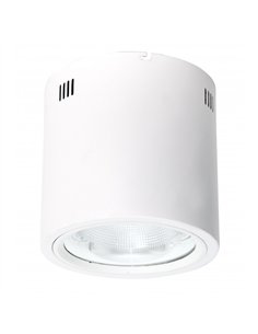 Foco Superf. 50w 4000k Tubular 4000lm Blanco  21
