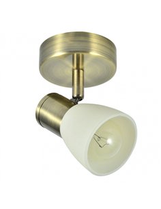 Foco Cholo 1xe14 Cuero  14x8